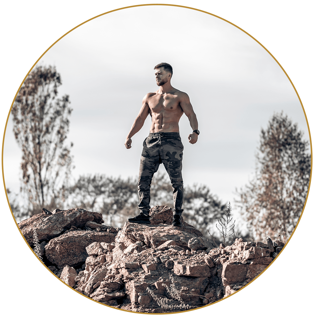 Mass Shredder Stack for Rapid Full Body Transformation – Alpha Lion