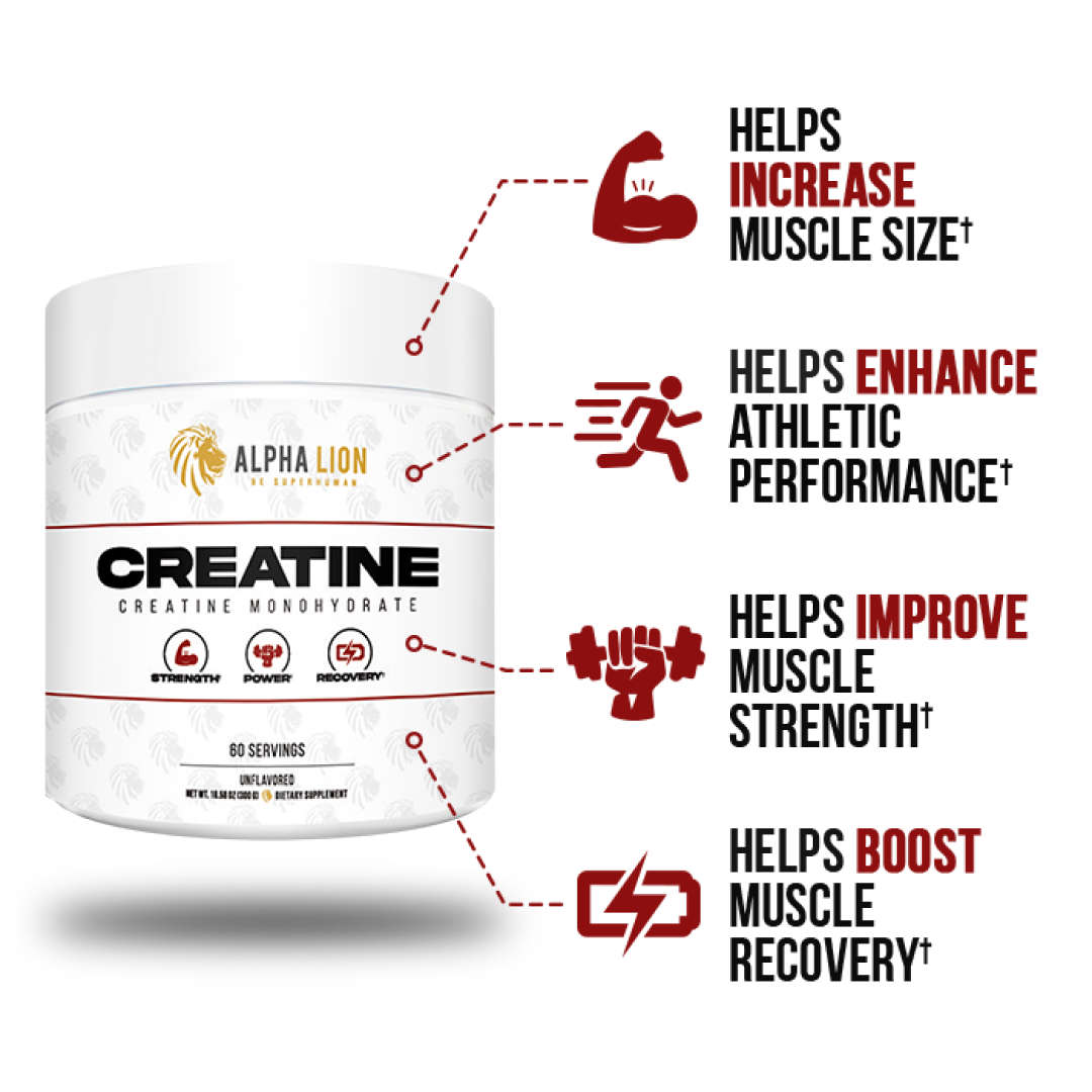 CREATINE STRENGTH POWER RECOVERY Alpha Lion creatine-strength-power-recovery-alpha-lion