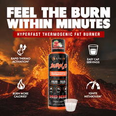 BURN2O - Alpha Lion