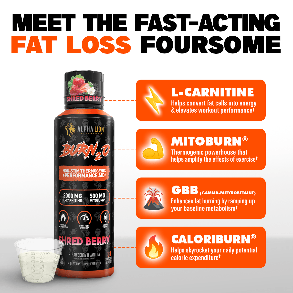 Alpha Lion Burn20 31 Servings Fiery Punch Alpha Lion Burn20 31 Servings Fiery Punch