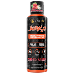 BURN2O Shred Berry (Strawberry & Vanilla) - Alpha Lion