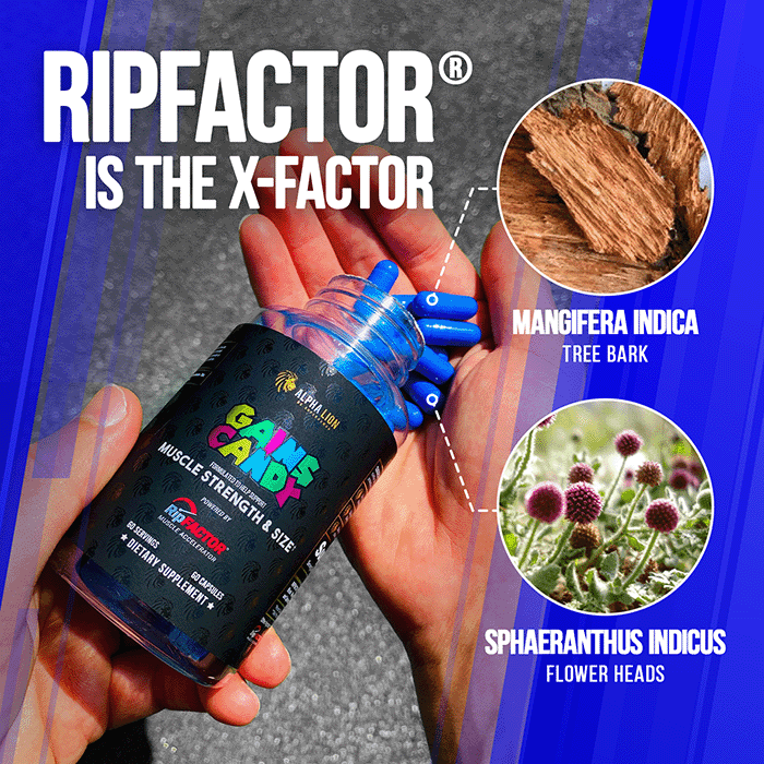 GAINS CANDY™ RIPFACTOR®  - Increase Muscle Strength & Size RP 3