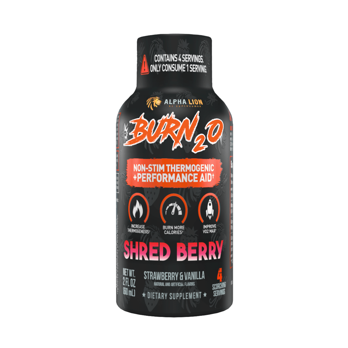 BURN2O Sample - 2 Alphalion