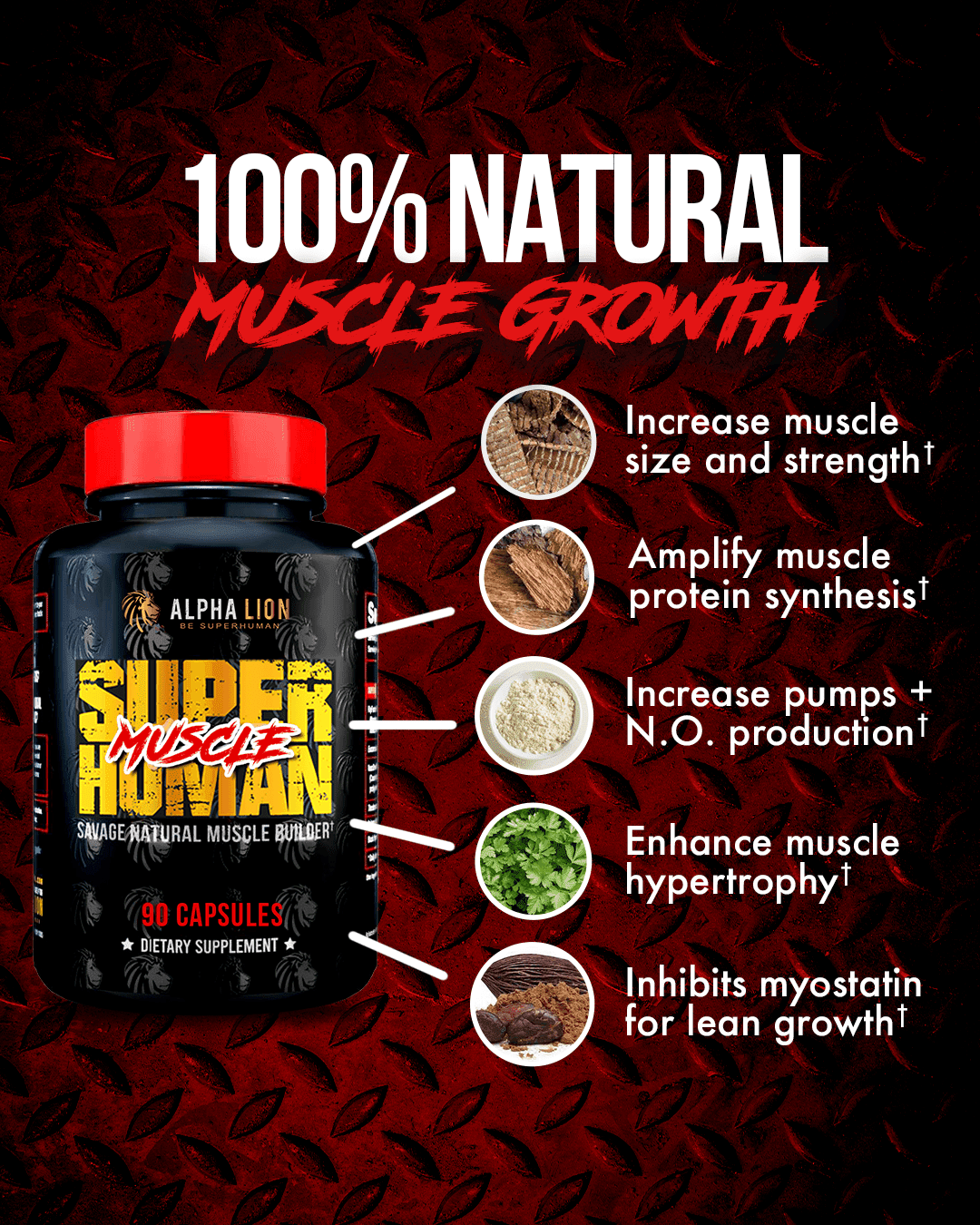 The Alpha Stack - (SuperHuman Muscle & SuperHuman Test). - 2 Alphalion