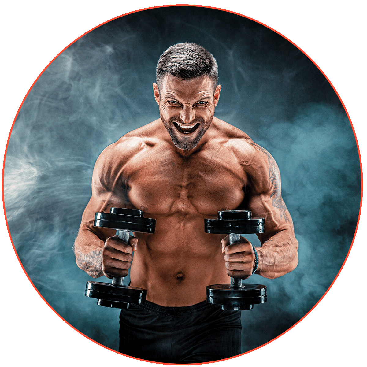 Mass Shredder Stack for Rapid Full Body Transformation – Alpha Lion