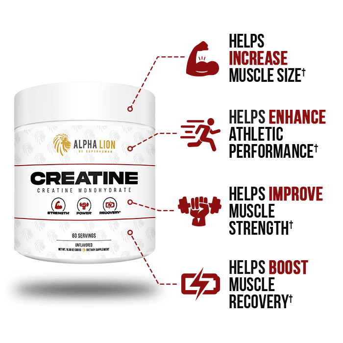 CREATINE - STRENGTH. POWER. RECOVERY. – Alpha Lion