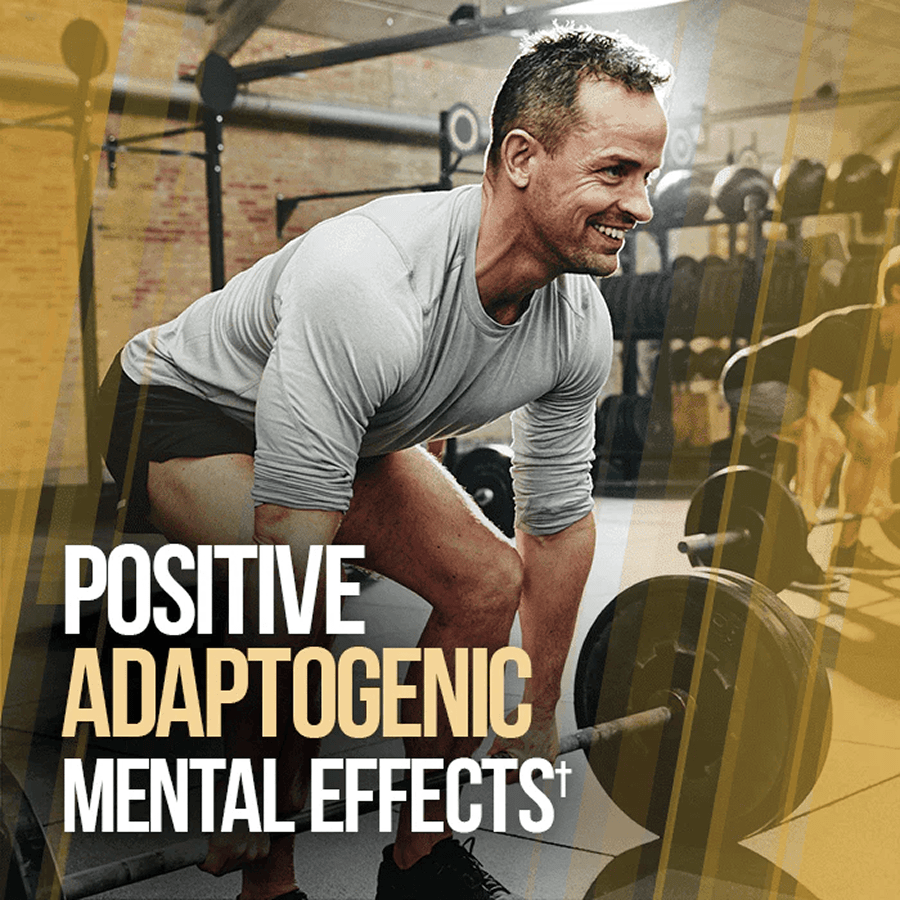 GAINS CANDY™ TURKESTERONE®  - More Muscle Strength and Size† - 5 Alphalion
