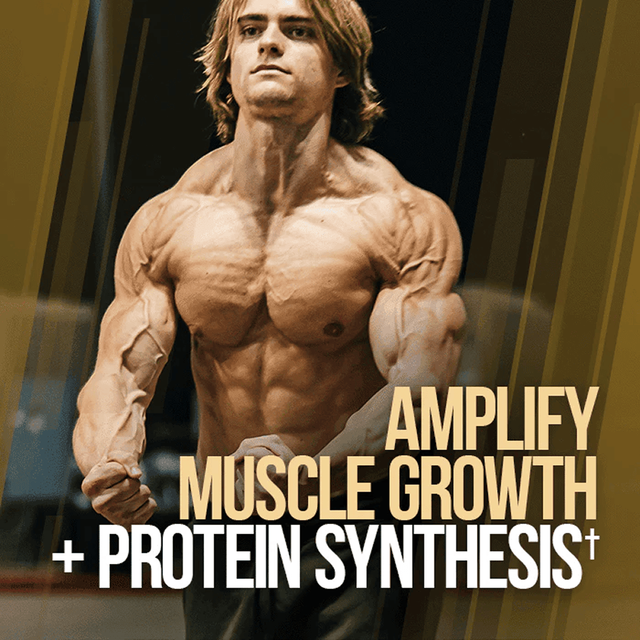 GAINS CANDY™ TURKESTERONE®  - More Muscle Strength and Size† - 7 Alphalion