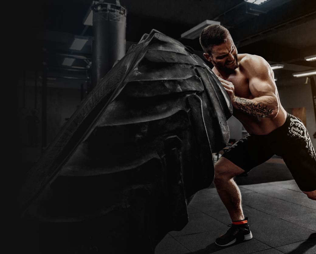 DAD BOD DESTROYER STACK Burn Fat, Build Muscle, Look & Feel Great! Alpha Lion