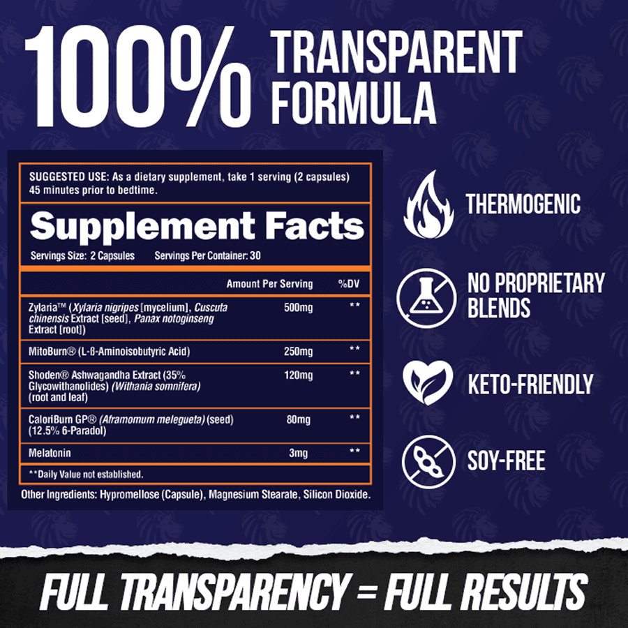 NIGHT BURN - Nighttime Fat Burner - 3 Alphalion