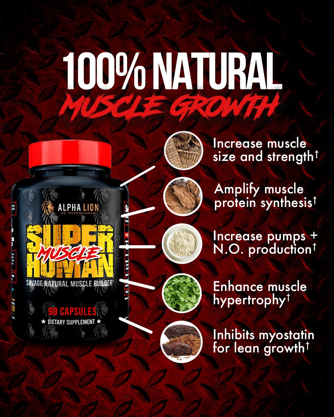 SUPERHUMAN MUSCLE - Natural Muscle Builder - 4 Alphalion