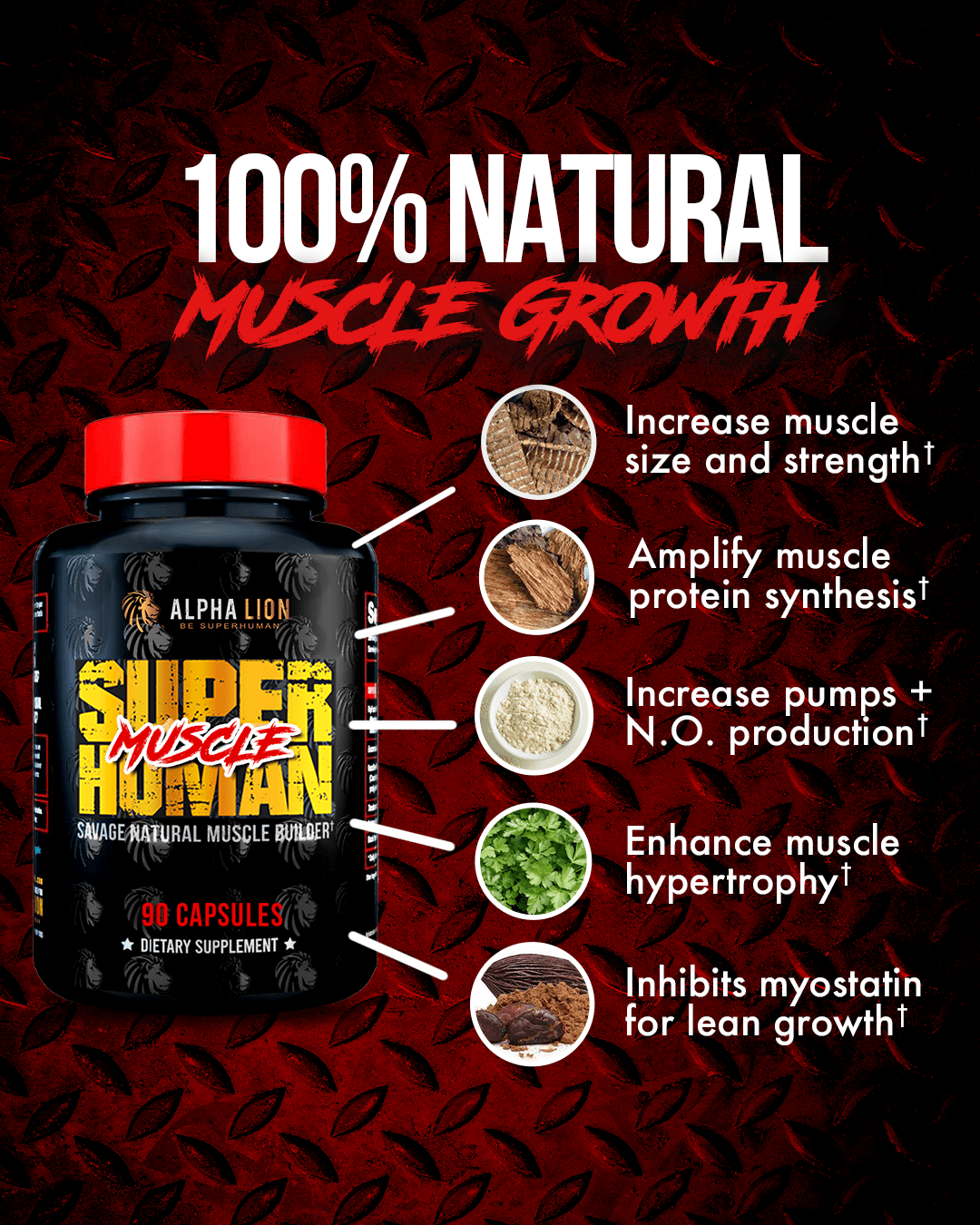 SUPERHUMAN MUSCLE - Natural Muscle Builder 4